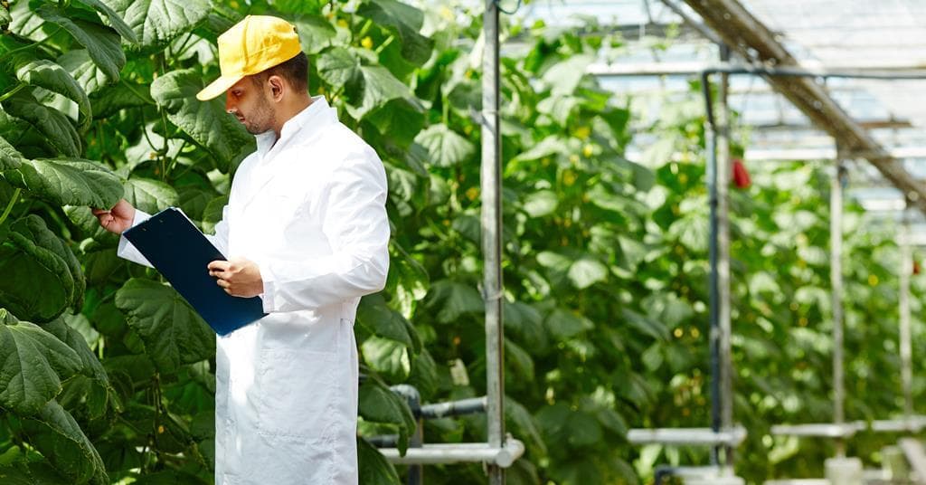 Unlock Your Future: The UK Food Industry's Call for Young Talent Amid Workforce Crisis