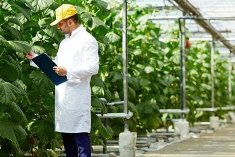 IGD wants help attract more young people to work in the food industry
