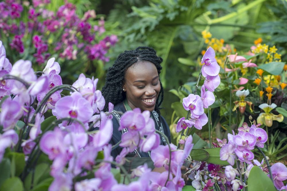 Kew's New Digital Careers Hub: A Game Changer for Job Seekers in Hounslow