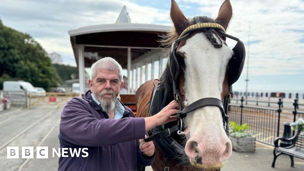 50 Years on the Tracks: The Unbelievable Journey of a Horse Tram Driver in the Isle of Man