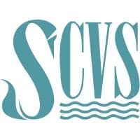 Swansea Council for Voluntary Service (SwanseaCVS) logo