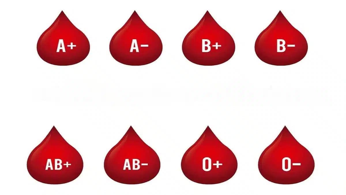 Unlock Your Career Potential: What Your Blood Type Reveals About Your Personality and Ideal Job